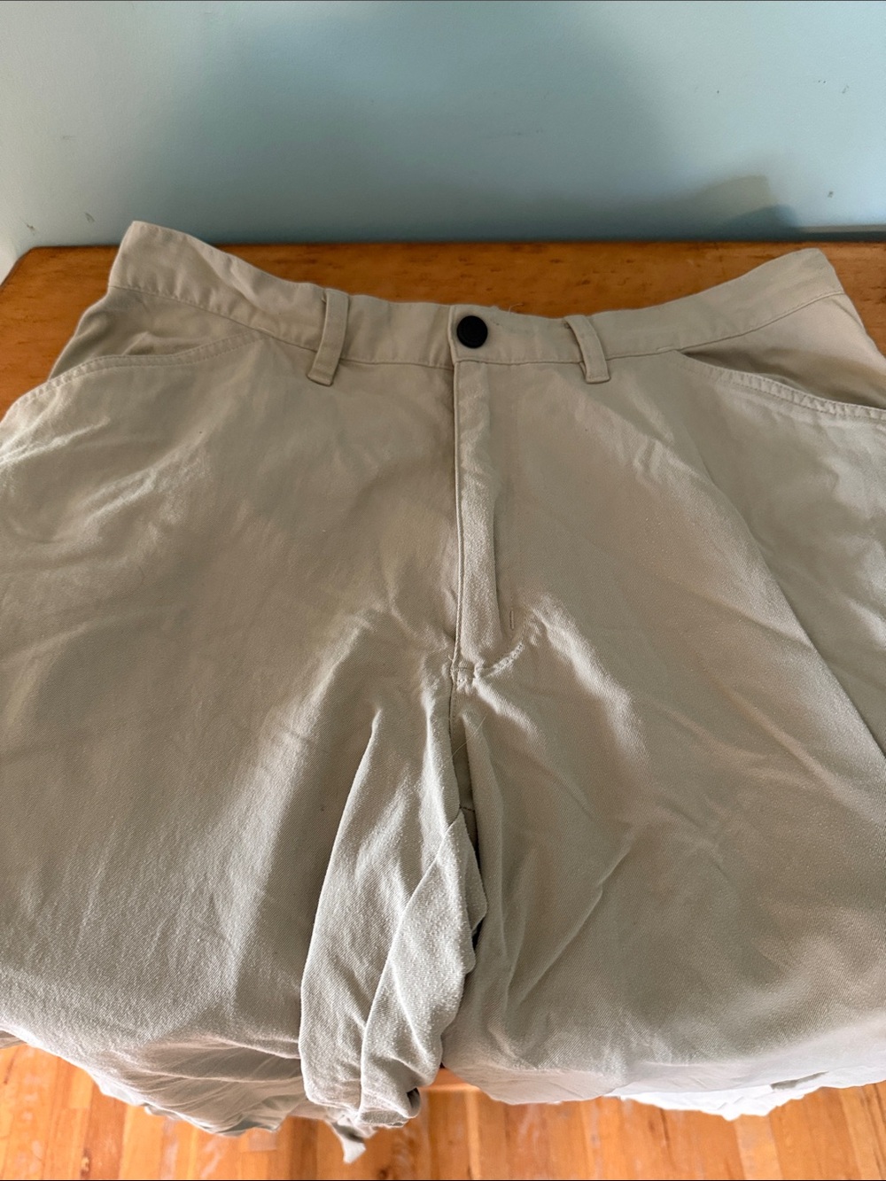 Patagonia Men's Light Beige Flat-Front nylon casual pants